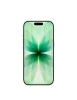 iPhone 17, 256 ГБ, Sage